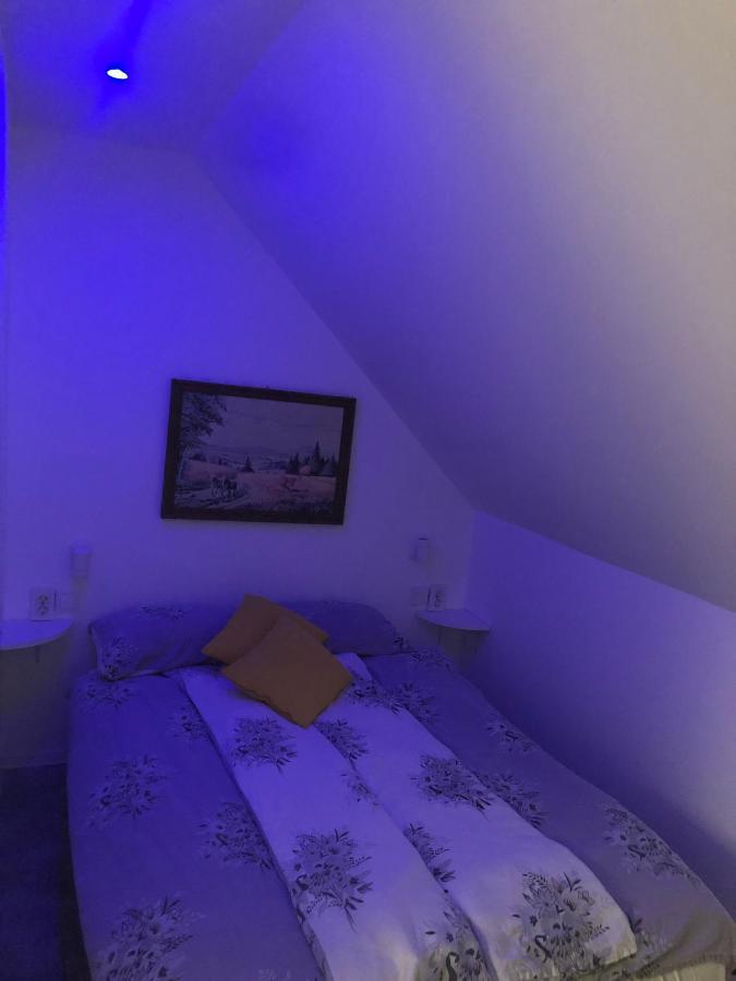 Holiday House Apartments Dajcic ヴァラズディンスケ・トプリツェ エクステリア 写真