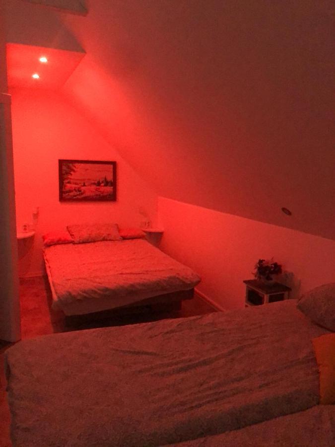 Holiday House Apartments Dajcic ヴァラズディンスケ・トプリツェ エクステリア 写真
