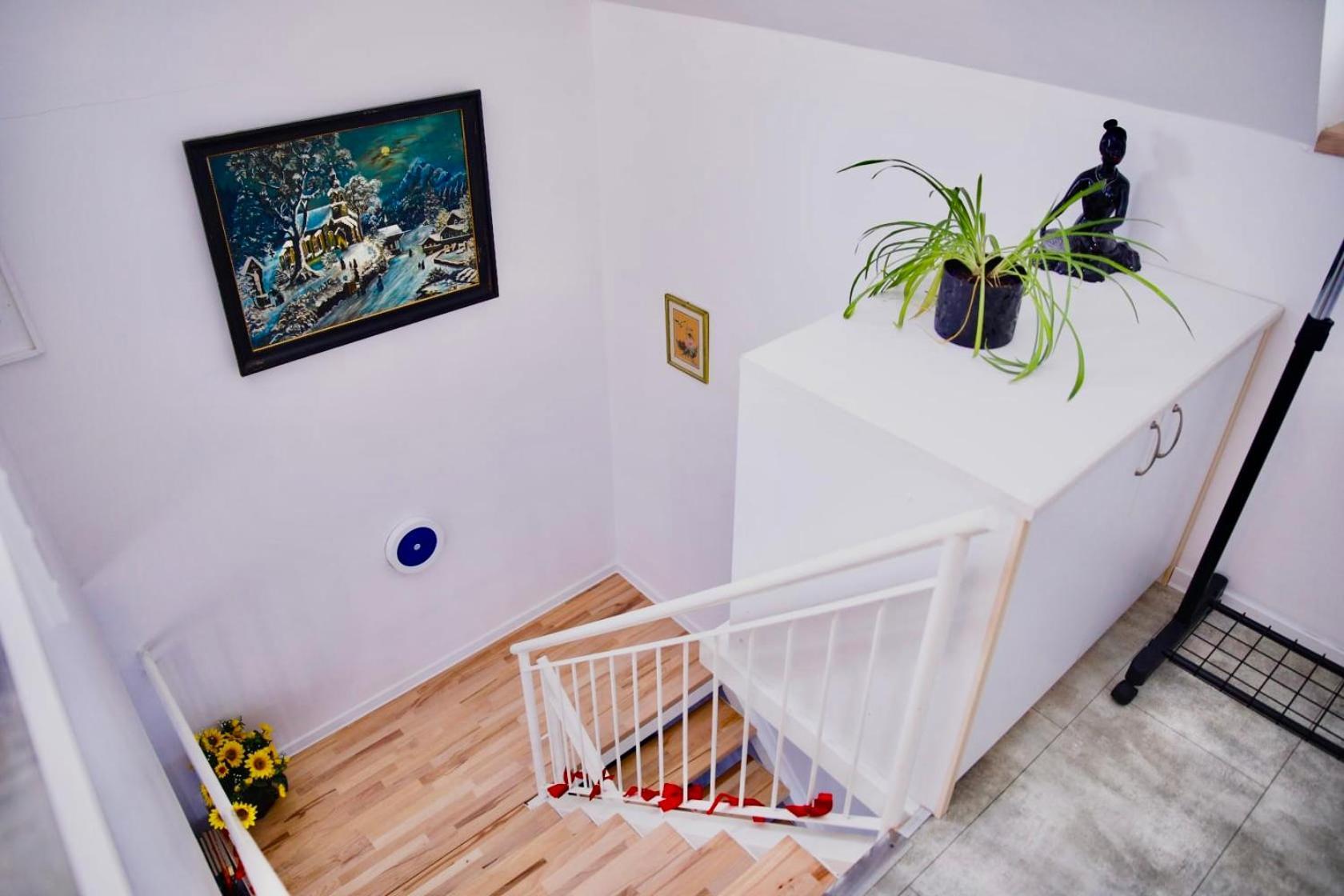 Holiday House Apartments Dajcic ヴァラズディンスケ・トプリツェ エクステリア 写真