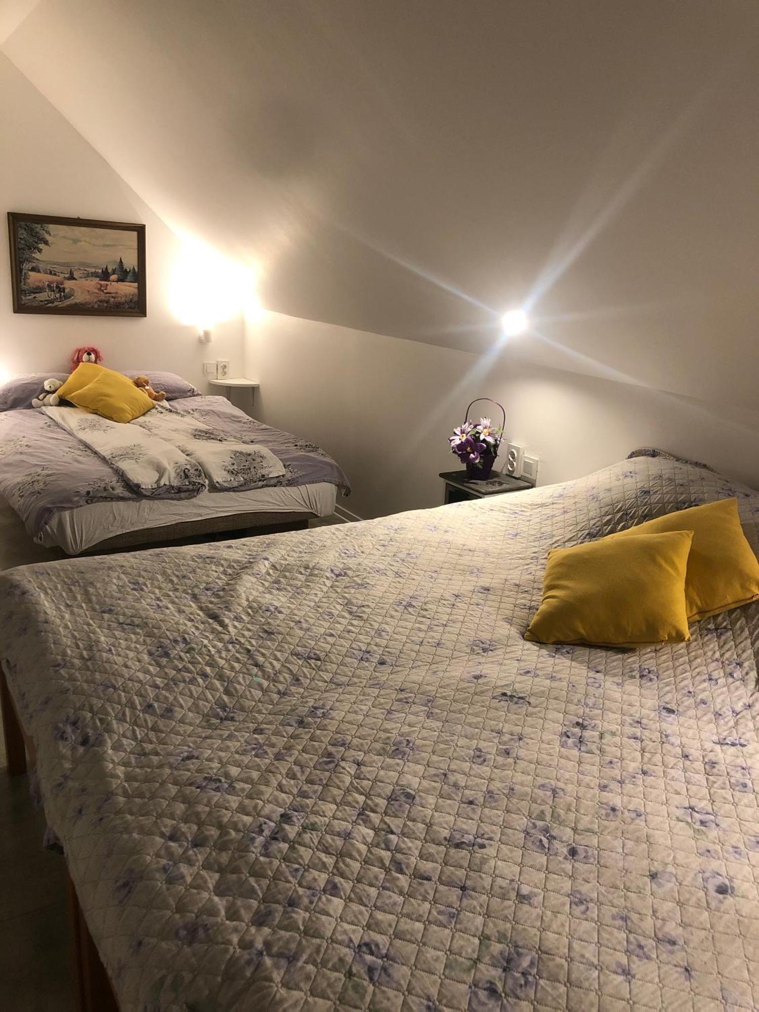 Holiday House Apartments Dajcic ヴァラズディンスケ・トプリツェ エクステリア 写真